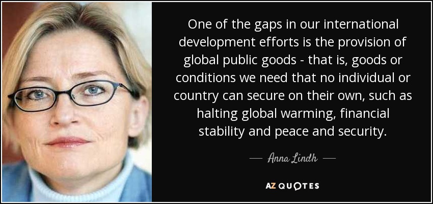 One of the gaps in our international development efforts is the provision of global public goods - that is, goods or conditions we need that no individual or country can secure on their own, such as halting global warming, financial stability and peace and security. - Anna Lindh