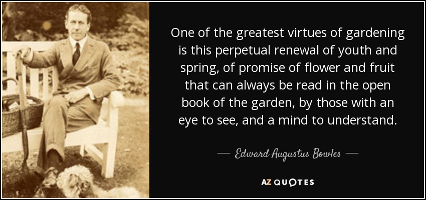 One of the greatest virtues of gardening is this perpetual renewal of youth and spring, of promise of flower and fruit that can always be read in the open book of the garden, by those with an eye to see, and a mind to understand. - Edward Augustus Bowles