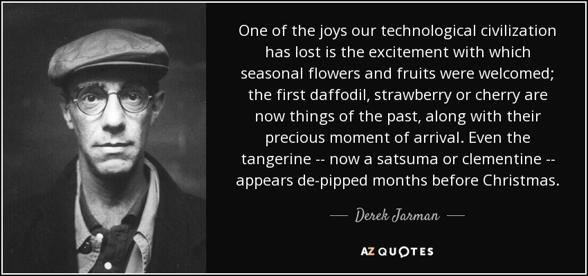 One of the joys our technological civilization has lost is the excitement with which seasonal flowers and fruits were welcomed; the first daffodil, strawberry or cherry are now things of the past, along with their precious moment of arrival. Even the tangerine -- now a satsuma or clementine -- appears de-pipped months before Christmas. - Derek Jarman