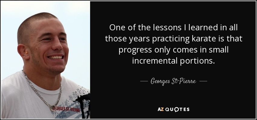 One of the lessons I learned in all those years practicing karate is that progress only comes in small incremental portions. - Georges St-Pierre