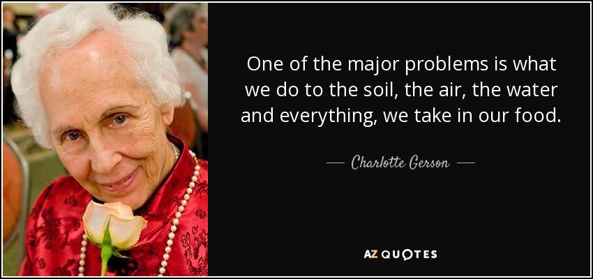 One of the major problems is what we do to the soil, the air, the water and everything, we take in our food. - Charlotte Gerson