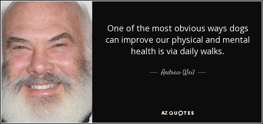One of the most obvious ways dogs can improve our physical and mental health is via daily walks. - Andrew Weil