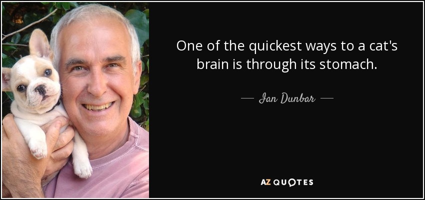 One of the quickest ways to a cat's brain is through its stomach. - Ian Dunbar