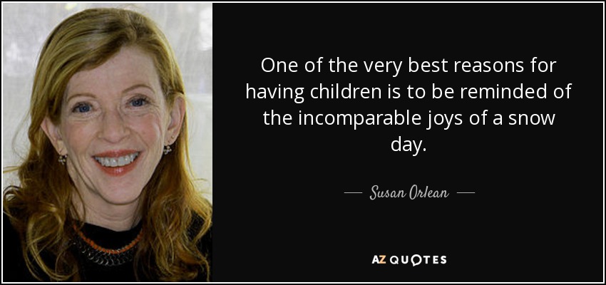 One of the very best reasons for having children is to be reminded of the incomparable joys of a snow day. - Susan Orlean
