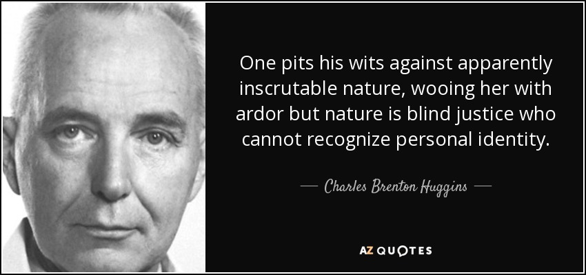 One pits his wits against apparently inscrutable nature, wooing her with ardor but nature is blind justice who cannot recognize personal identity. - Charles Brenton Huggins