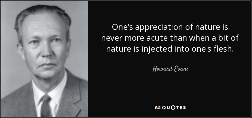 One's appreciation of nature is never more acute than when a bit of nature is injected into one's flesh. - Howard Evans
