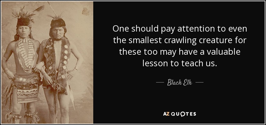One should pay attention to even the smallest crawling creature for these too may have a valuable lesson to teach us. - Black Elk