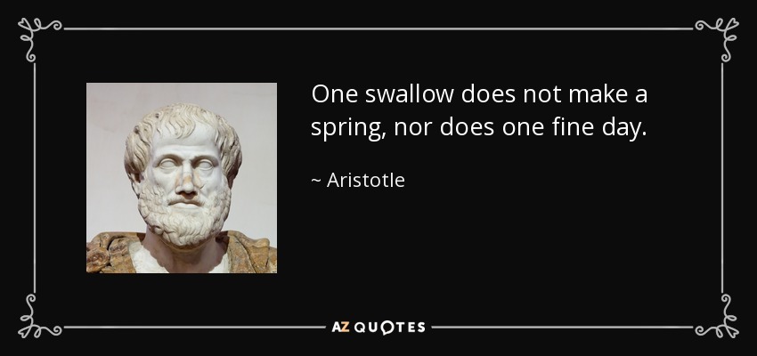 One swallow does not make a spring, nor does one fine day. - Aristotle
