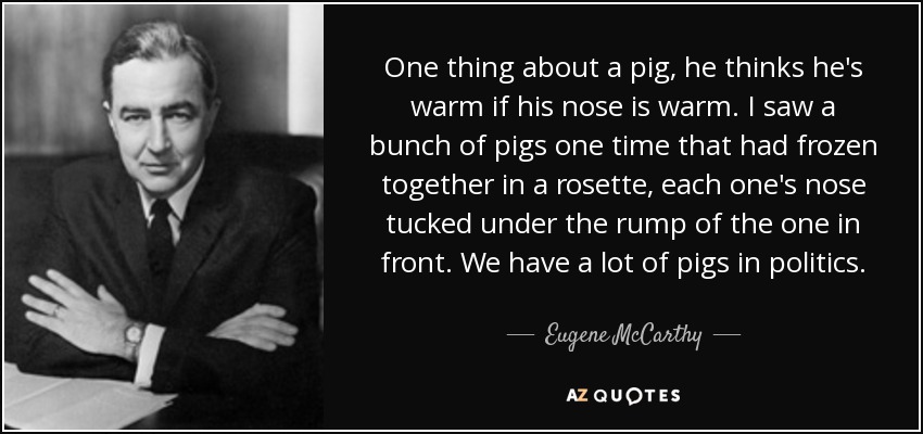 One thing about a pig, he thinks he's warm if his nose is warm. I saw a bunch of pigs one time that had frozen together in a rosette, each one's nose tucked under the rump of the one in front. We have a lot of pigs in politics. - Eugene McCarthy