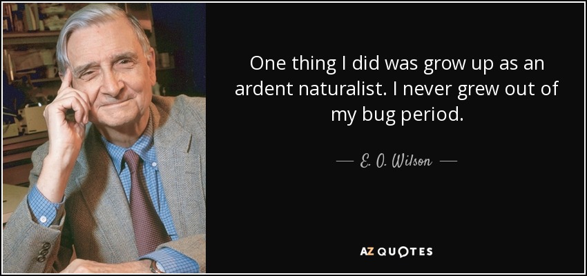 One thing I did was grow up as an ardent naturalist. I never grew out of my bug period. - E. O. Wilson