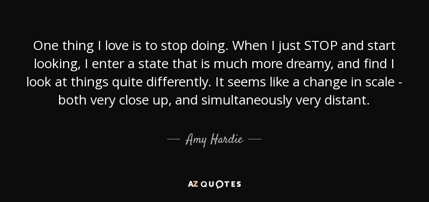 One thing I love is to stop doing. When I just STOP and start looking, I enter a state that is much more dreamy, and find I look at things quite differently. It seems like a change in scale - both very close up, and simultaneously very distant. - Amy Hardie