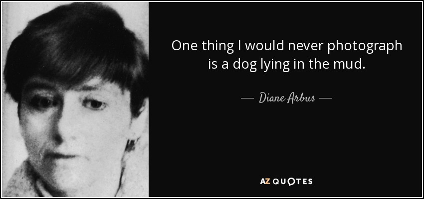 One thing I would never photograph is a dog lying in the mud. - Diane Arbus