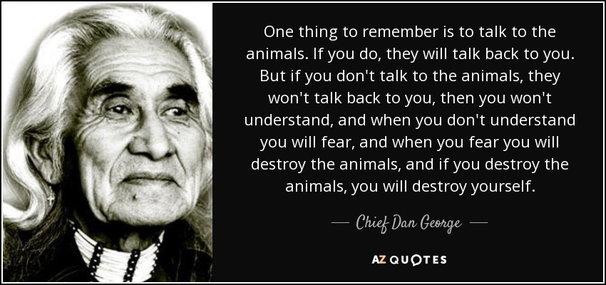 One thing to remember is to talk to the animals. If you do, they will talk back to you. But if you don't talk to the animals, they won't talk back to you, then you won't understand, and when you don't understand you will fear, and when you fear you will destroy the animals, and if you destroy the animals, you will destroy yourself. - Chief Dan George