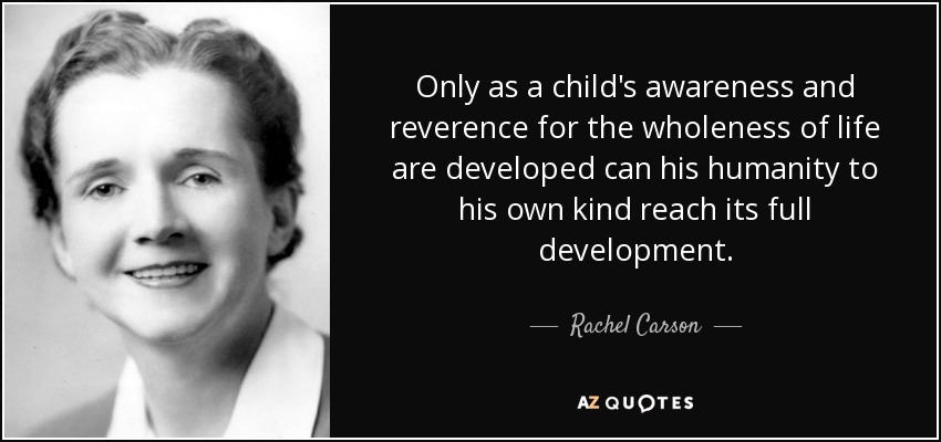 Only as a child's awareness and reverence for the wholeness of life are developed can his humanity to his own kind reach its full development. - Rachel Carson