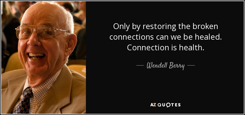Only by restoring the broken connections can we be healed. Connection is health. - Wendell Berry