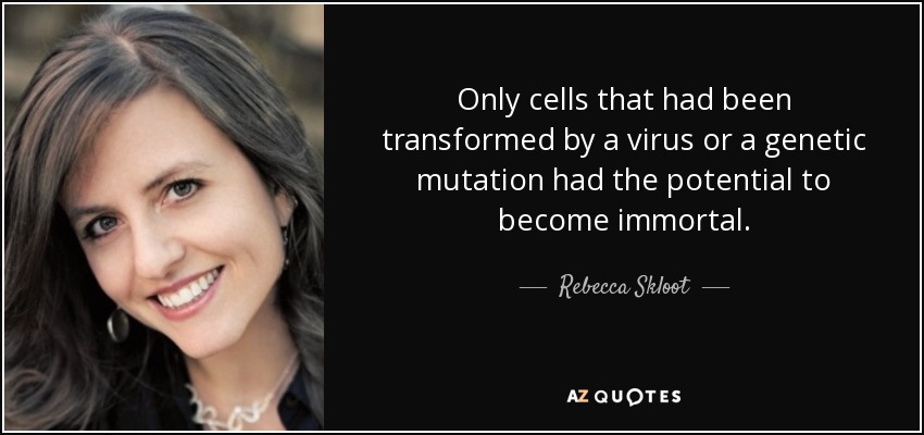 Only cells that had been transformed by a virus or a genetic mutation had the potential to become immortal. - Rebecca Skloot