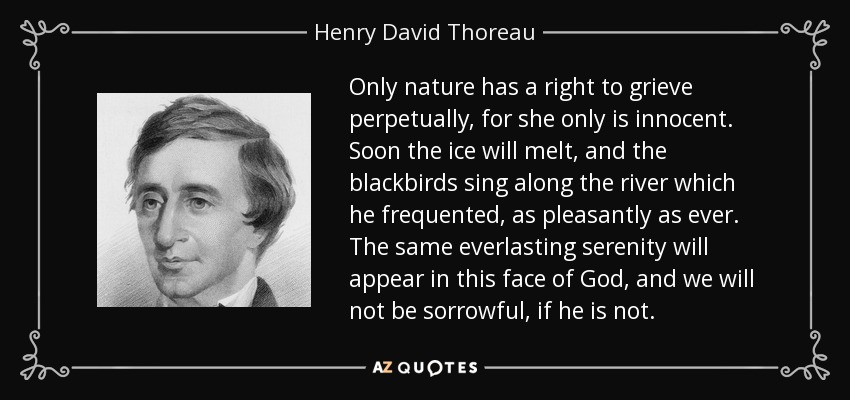 Only nature has a right to grieve perpetually, for she only is innocent. Soon the ice will melt, and the blackbirds sing along the river which he frequented, as pleasantly as ever. The same everlasting serenity will appear in this face of God, and we will not be sorrowful, if he is not. - Henry David Thoreau