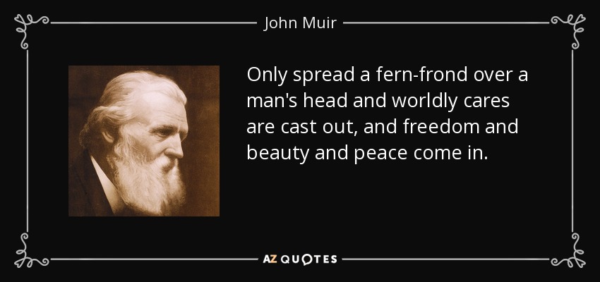 Only spread a fern-frond over a man's head and worldly cares are cast out, and freedom and beauty and peace come in. - John Muir