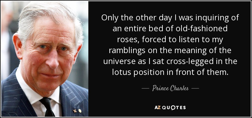 Only the other day I was inquiring of an entire bed of old-fashioned roses, forced to listen to my ramblings on the meaning of the universe as I sat cross-legged in the lotus position in front of them. - Prince Charles
