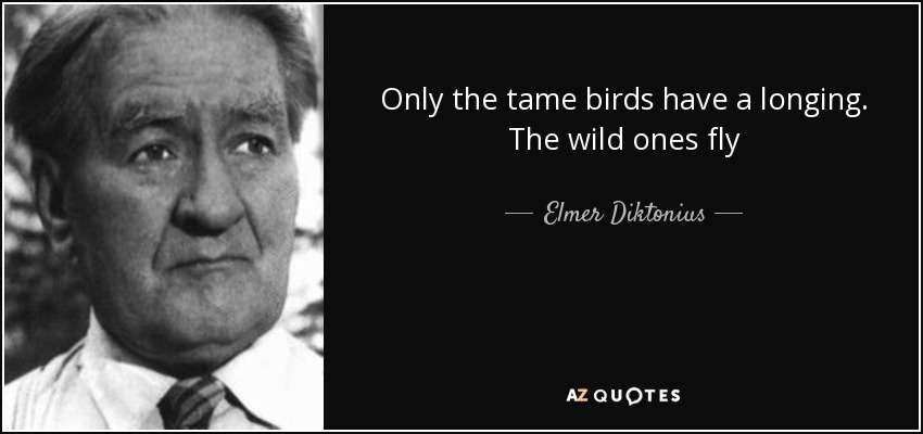 Only the tame birds have a longing. The wild ones fly - Elmer Diktonius