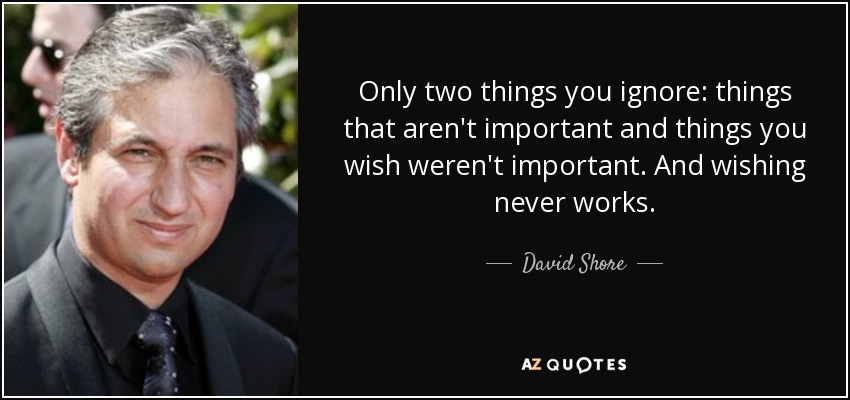 Only two things you ignore: things that aren't important and things you wish weren't important. And wishing never works. - David Shore