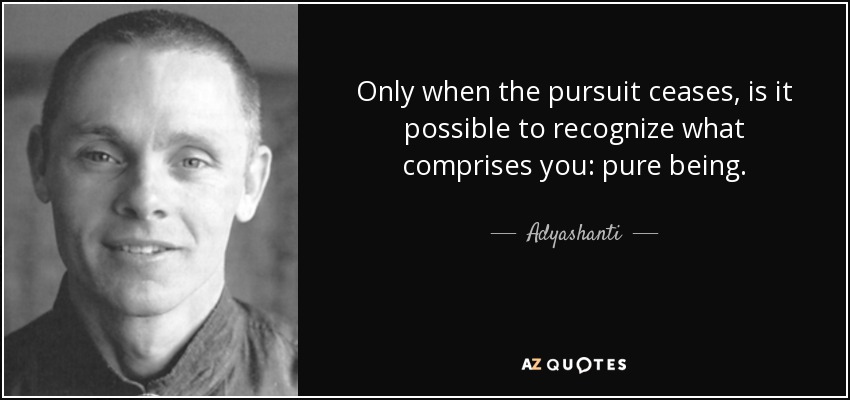 Only when the pursuit ceases, is it possible to recognize what comprises you: pure being. - Adyashanti