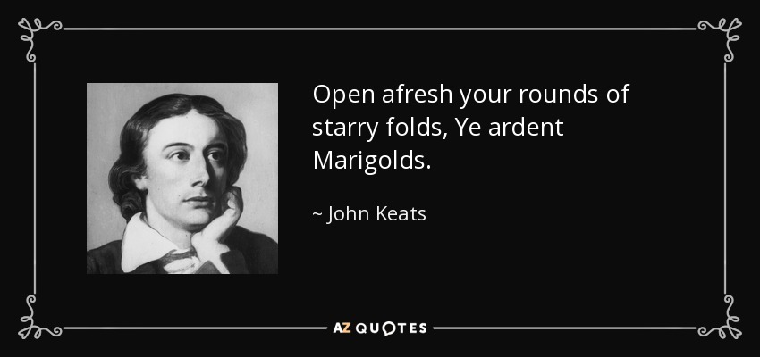 Open afresh your rounds of starry folds, Ye ardent Marigolds. - John Keats