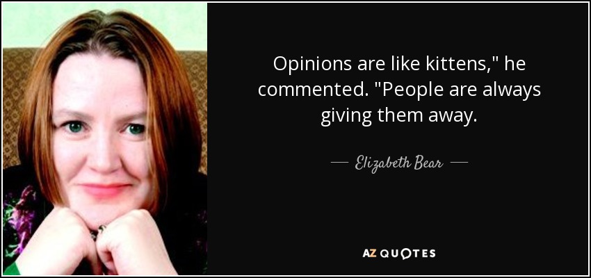 Opinions are like kittens,