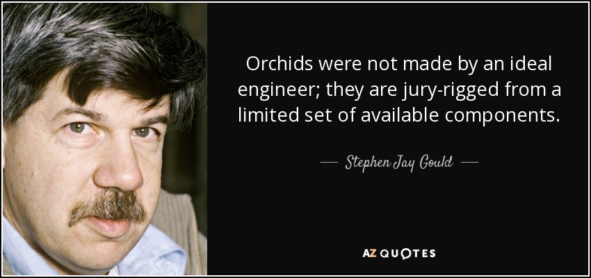 Orchids were not made by an ideal engineer; they are jury-rigged from a limited set of available components. - Stephen Jay Gould