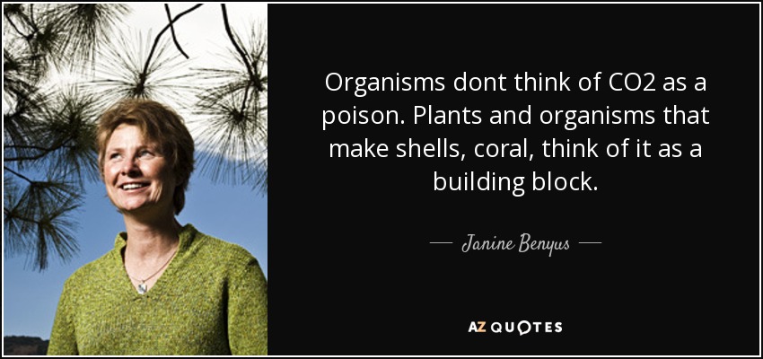 Organisms dont think of CO2 as a poison. Plants and organisms that make shells, coral, think of it as a building block. - Janine Benyus