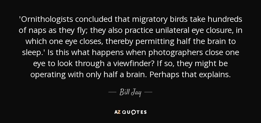 'Ornithologists concluded that migratory birds take hundreds of naps as they fly; they also practice unilateral eye closure, in which one eye closes, thereby permitting half the brain to sleep.' Is this what happens when photographers close one eye to look through a viewfinder? If so, they might be operating with only half a brain. Perhaps that explains. - Bill Jay