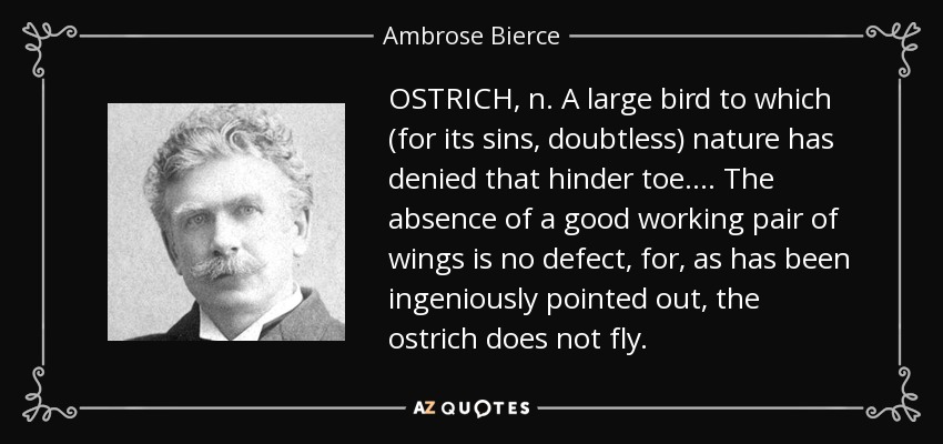 OSTRICH, n. A large bird to which (for its sins, doubtless) nature has denied that hinder toe . . . . The absence of a good working pair of wings is no defect, for, as has been ingeniously pointed out, the ostrich does not fly. - Ambrose Bierce