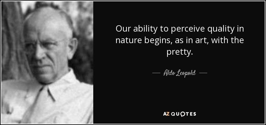 Our ability to perceive quality in nature begins, as in art, with the pretty. - Aldo Leopold