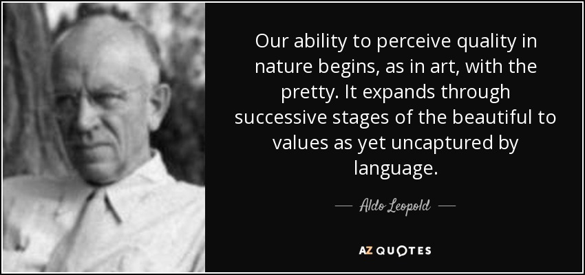 Our ability to perceive quality in nature begins, as in art, with the pretty. It expands through successive stages of the beautiful to values as yet uncaptured by language. - Aldo Leopold