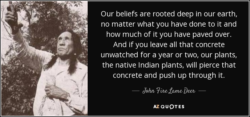 Our beliefs are rooted deep in our earth, no matter what you have done to it and how much of it you have paved over. And if you leave all that concrete unwatched for a year or two, our plants, the native Indian plants, will pierce that concrete and push up through it. - John Fire Lame Deer