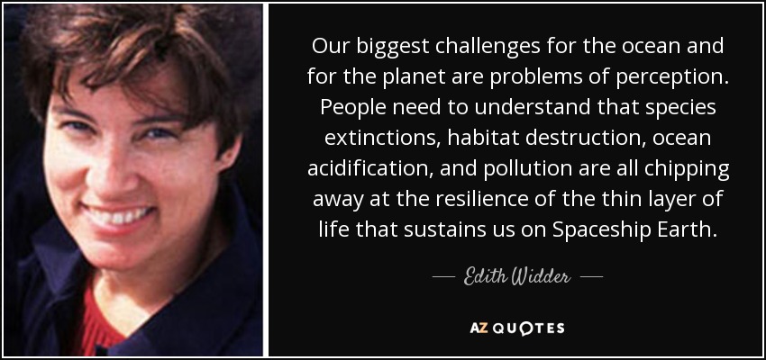 Our biggest challenges for the ocean and for the planet are problems of perception. People need to understand that species extinctions, habitat destruction, ocean acidification, and pollution are all chipping away at the resilience of the thin layer of life that sustains us on Spaceship Earth. - Edith Widder