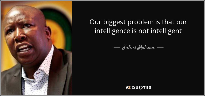 Our biggest problem is that our intelligence is not intelligent - Julius Malema