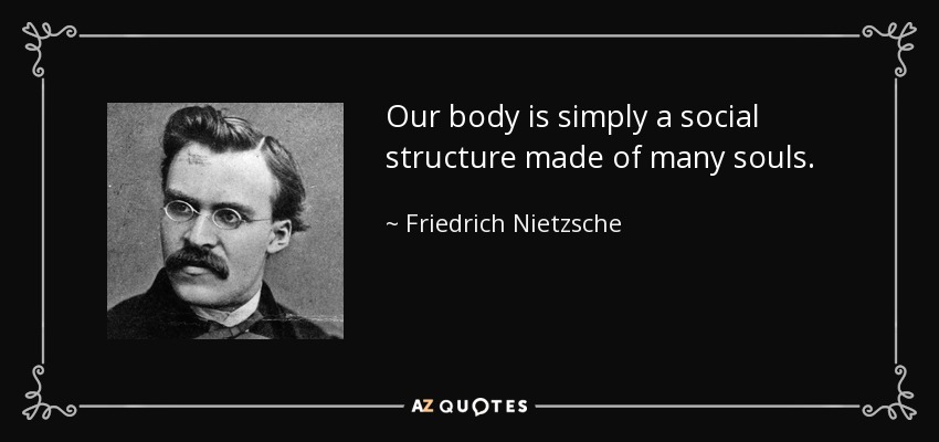 Our body is simply a social structure made of many souls. - Friedrich Nietzsche