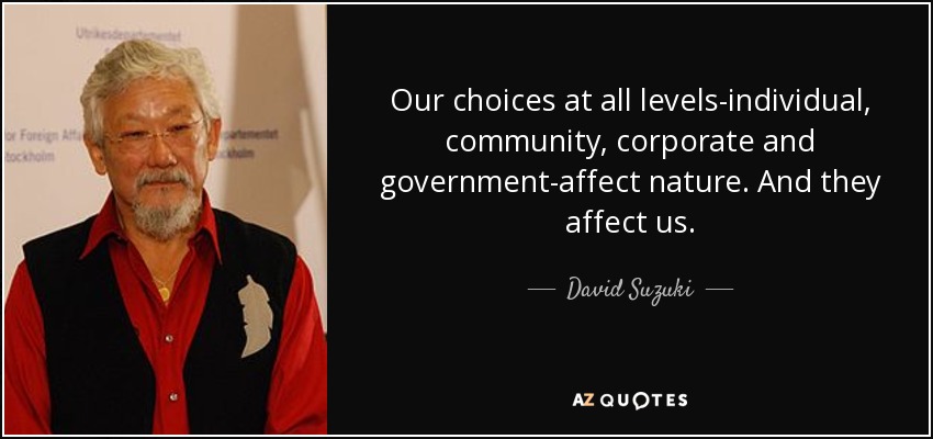 Our choices at all levels-individual, community, corporate and government-affect nature. And they affect us. - David Suzuki