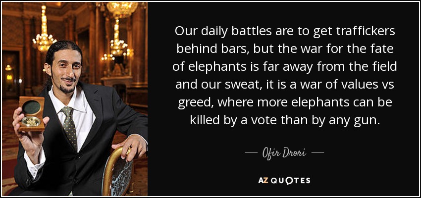Our daily battles are to get traffickers behind bars, but the war for the fate of elephants is far away from the field and our sweat, it is a war of values vs greed, where more elephants can be killed by a vote than by any gun. - Ofir Drori