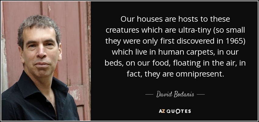 Our houses are hosts to these creatures which are ultra-tiny (so small they were only first discovered in 1965) which live in human carpets, in our beds, on our food, floating in the air, in fact, they are omnipresent. - David Bodanis