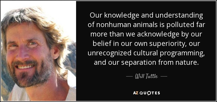 Our knowledge and understanding of nonhuman animals is polluted far more than we acknowledge by our belief in our own superiority, our unrecognized cultural programming, and our separation from nature. - Will Tuttle