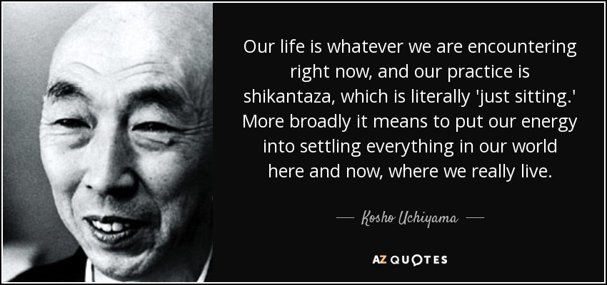 Our life is whatever we are encountering right now, and our practice is shikantaza, which is literally 'just sitting.' More broadly it means to put our energy into settling everything in our world here and now, where we really live. - Kosho Uchiyama