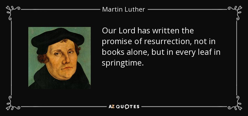 Our Lord has written the promise of resurrection, not in books alone, but in every leaf in springtime. - Martin Luther