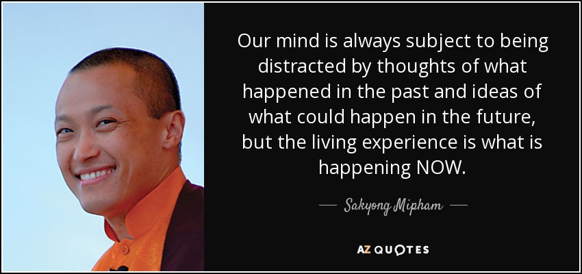 Our mind is always subject to being distracted by thoughts of what happened in the past and ideas of what could happen in the future, but the living experience is what is happening NOW. - Sakyong Mipham