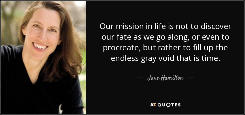 Our mission in life is not to discover our fate as we go along, or even to procreate, but rather to fill up the endless gray void that is time. - Jane Hamilton