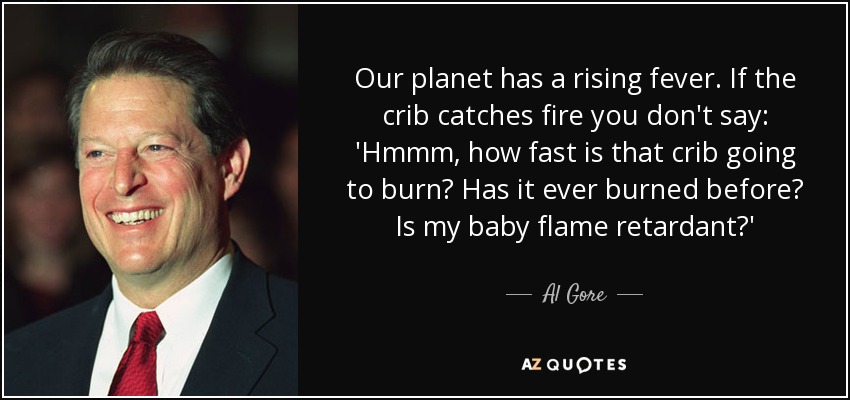 Our planet has a rising fever. If the crib catches fire you don't say: 'Hmmm, how fast is that crib going to burn? Has it ever burned before? Is my baby flame retardant?' - Al Gore