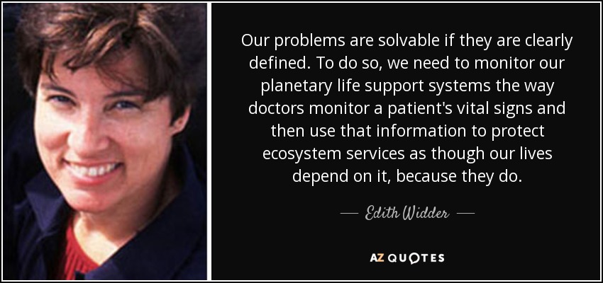 Our problems are solvable if they are clearly defined. To do so, we need to monitor our planetary life support systems the way doctors monitor a patient's vital signs and then use that information to protect ecosystem services as though our lives depend on it, because they do. - Edith Widder