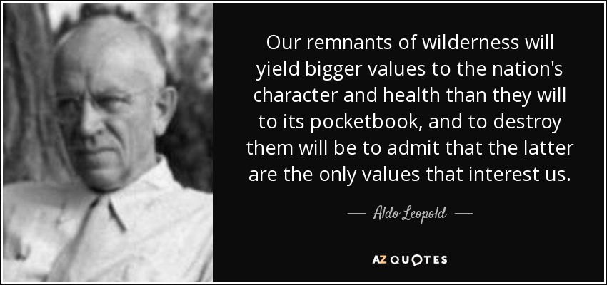 Our remnants of wilderness will yield bigger values to the nation's character and health than they will to its pocketbook, and to destroy them will be to admit that the latter are the only values that interest us. - Aldo Leopold