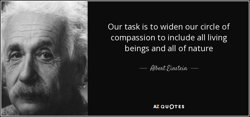 Our task is to widen our circle of compassion to include all living beings and all of nature - Albert Einstein